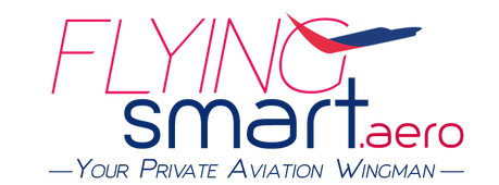Flying Smart Logo